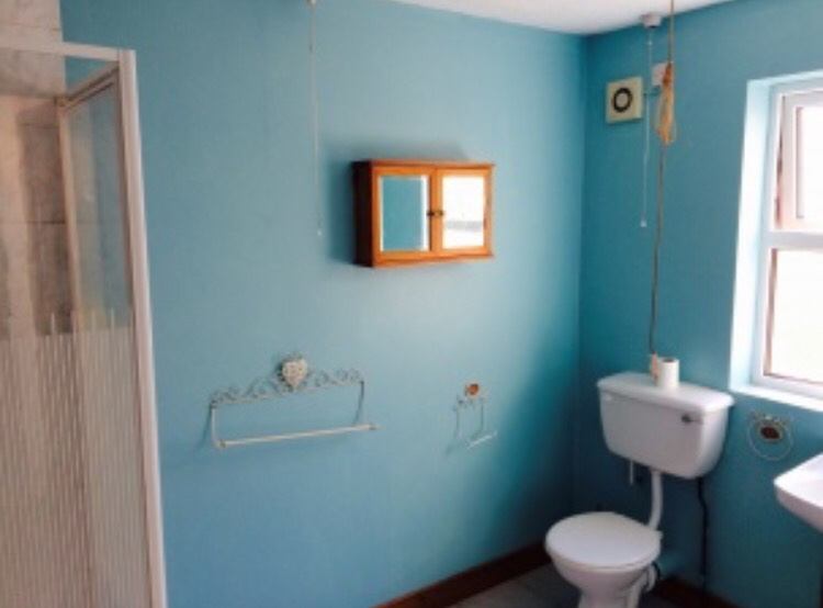 'Student Room for Rent in Holylands Area of Belfast' Room to Rent from