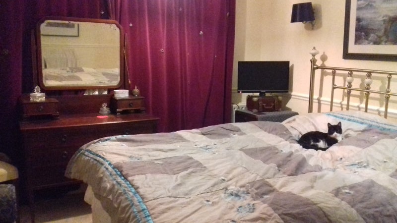 Photo 1:    Large room with King size bed