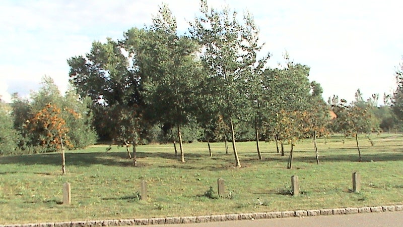 Photo 1: Park in to Front of House