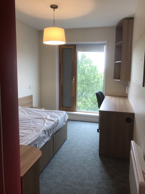'Premium ensuite room Kendrick Hall' Room to Rent from SpareRoom