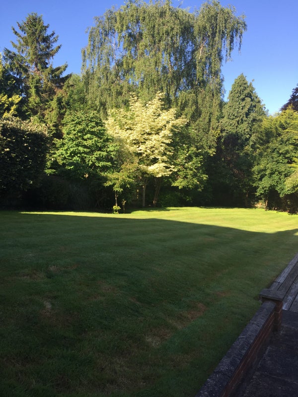 Photo 1: Garden
