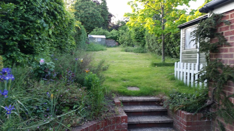 Photo 2: Garden