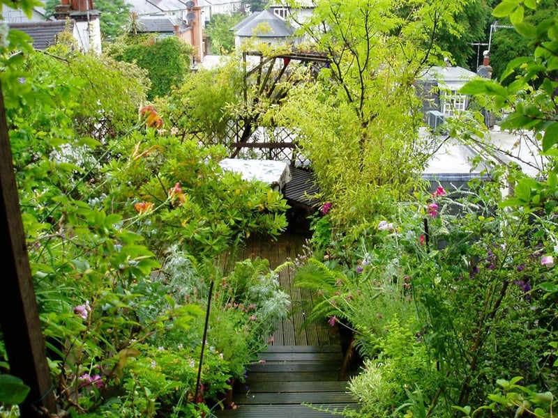 Photo 1: Private roof terrace to flat