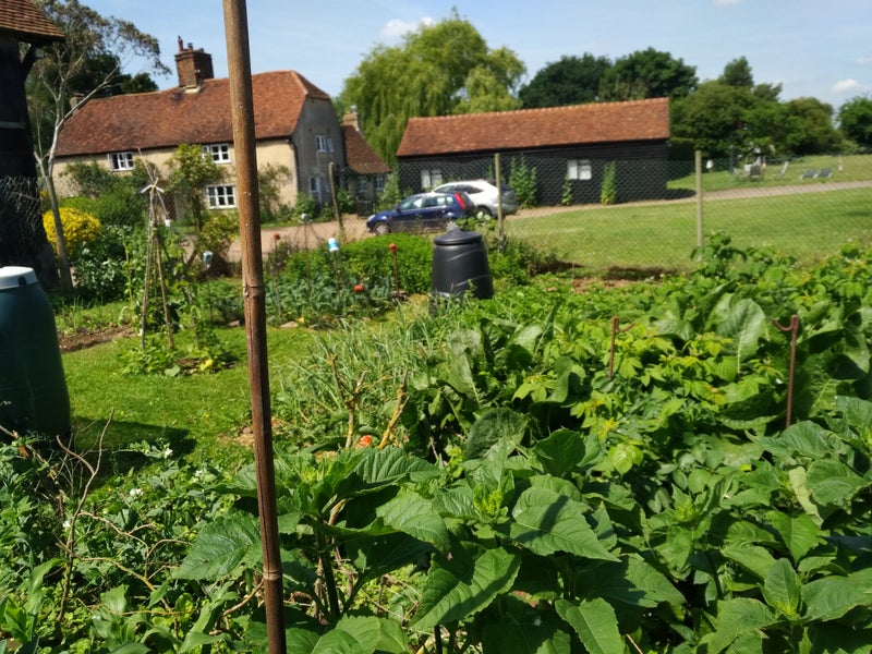 Photo 1: View from the Veg Garden