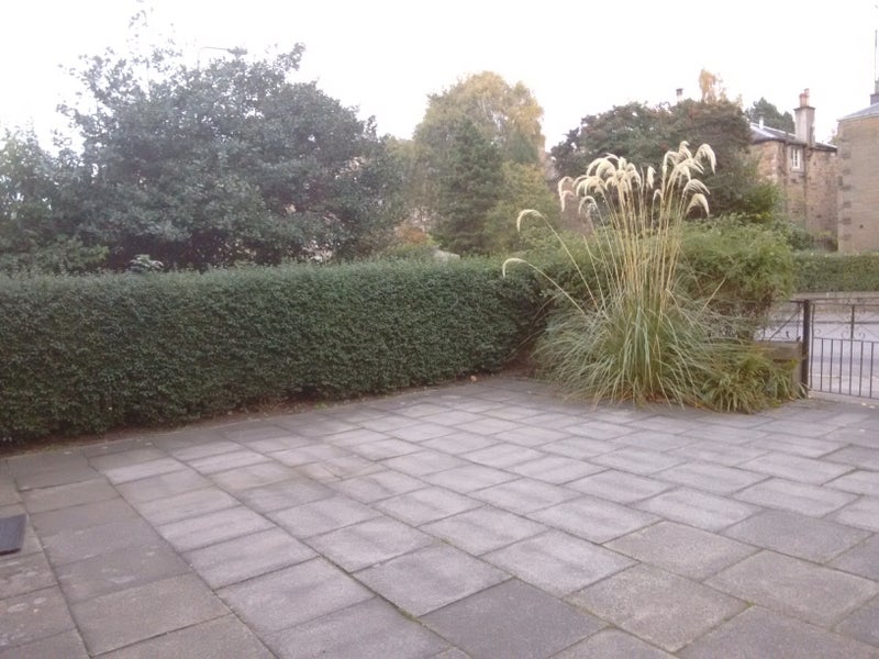 Photo 1: Driveway, front garden