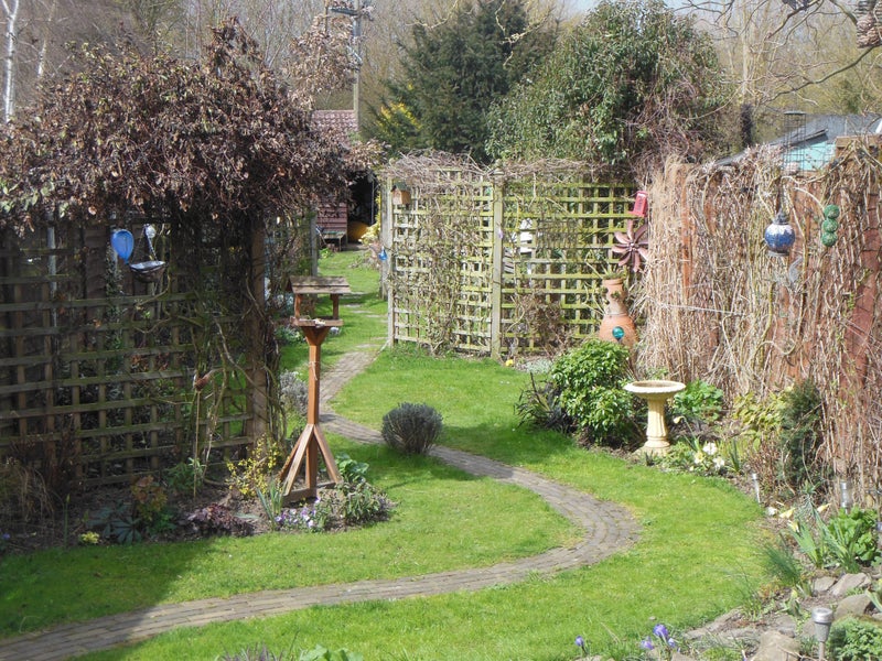 Photo 1: Garden