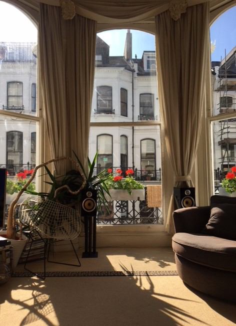 Photo 1: High ceilings, very sunny lounge!