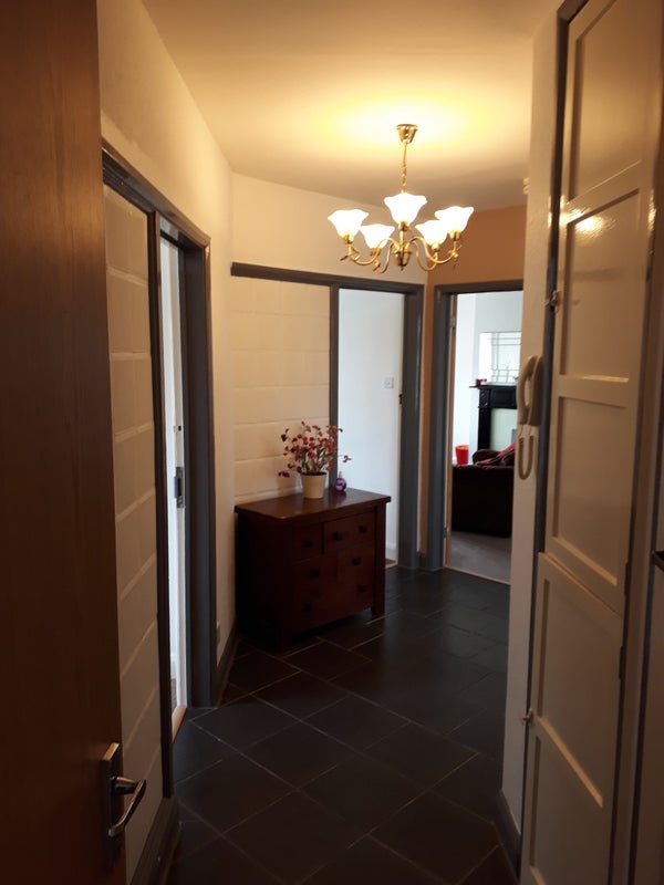 rent house pets allowed