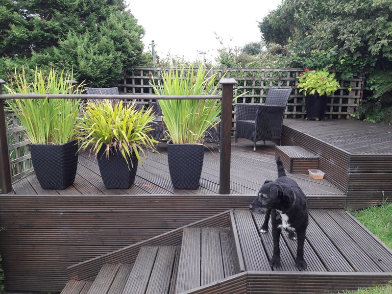 Photo 1: Garden lounge area