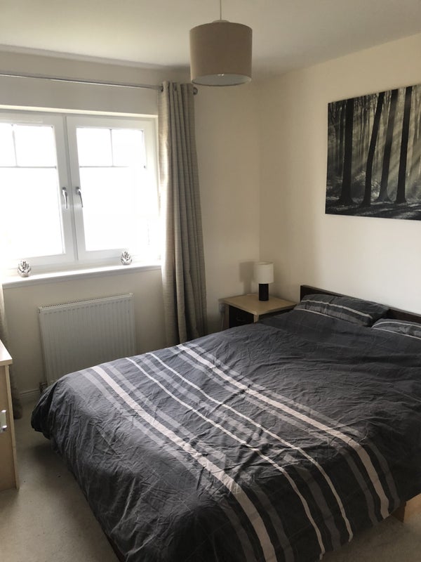 'Double room for rent for single professional ' Room to Rent from SpareRoom