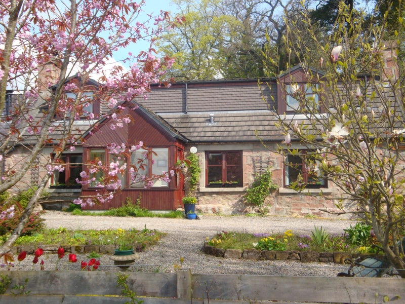 'Room to rent, 10 mins. from Inverness and Dingwall' Room to Rent from