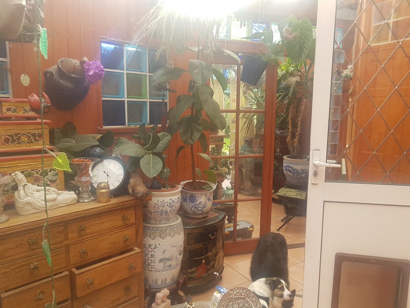 Photo 1: conservatory