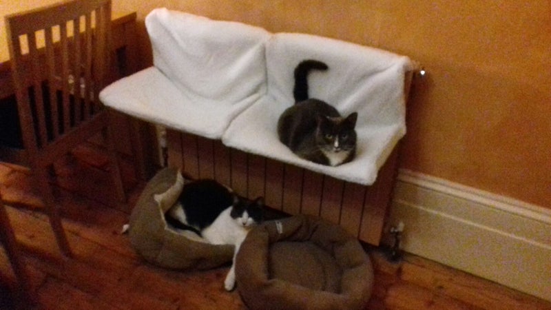 Photo 1: Us (Solly down left, Tasha top right)