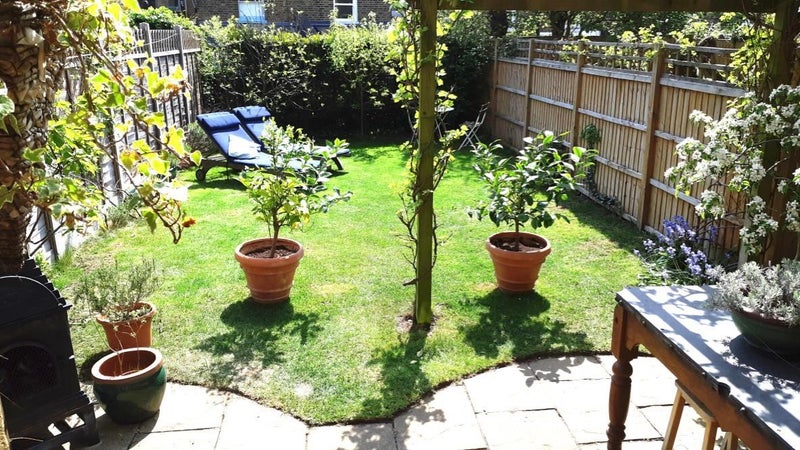Photo 1: Garden