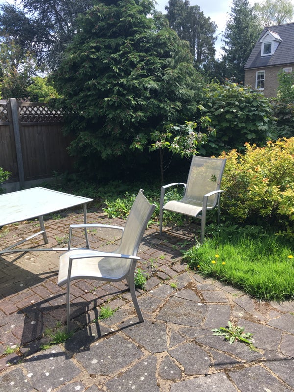 Photo 1: Lovely garden