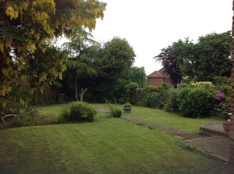 Photo 1: Garden
