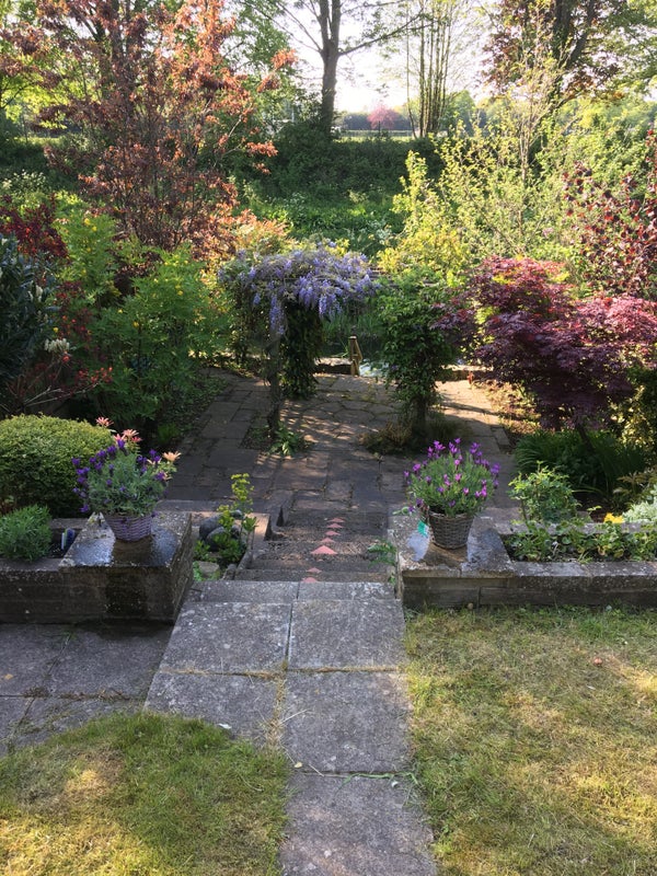 Photo 1: Garden 
