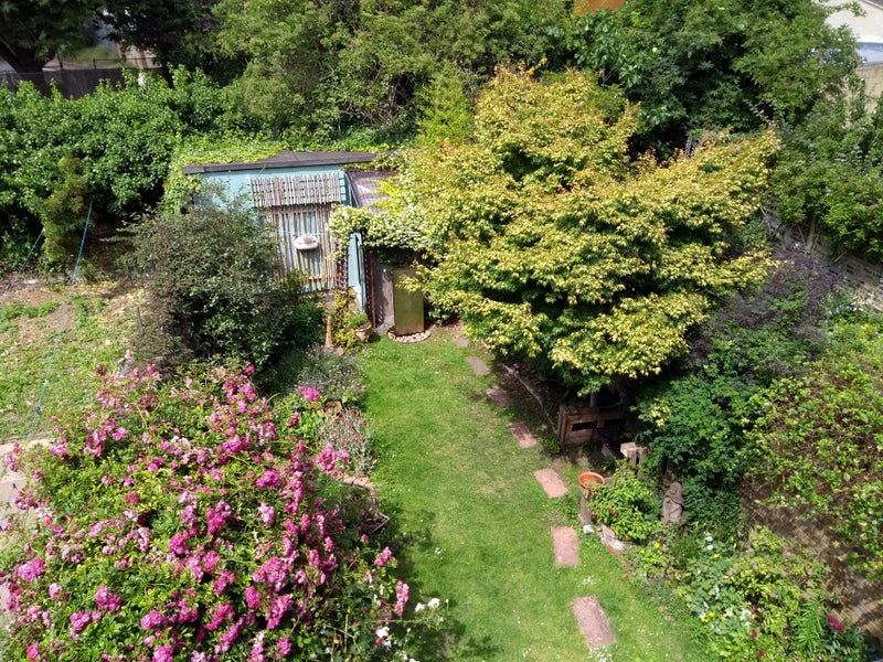 Photo 1: View from your room - no traffic, just gardens & birds