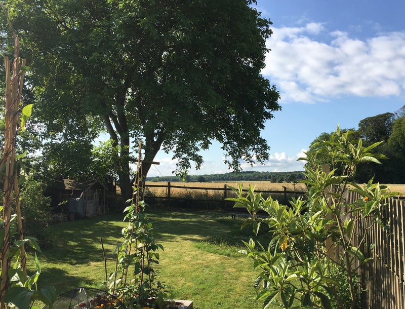 Photo 1: Back Garden