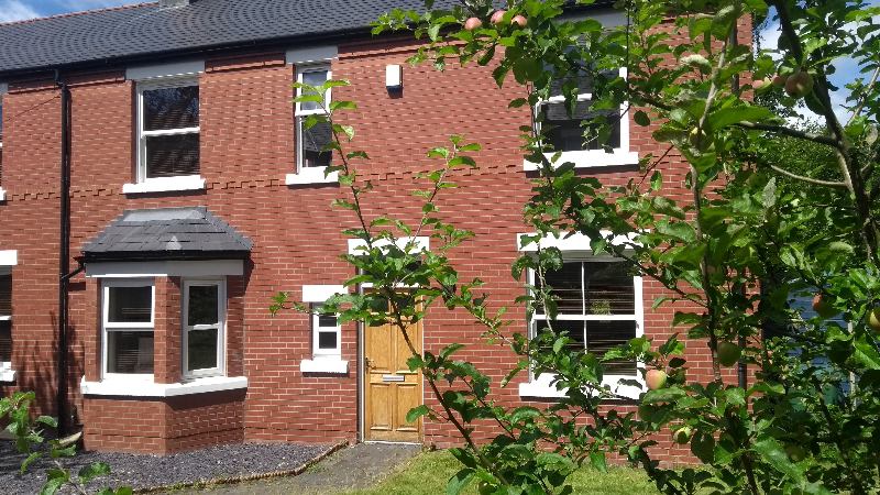 Photo 1: Modern house