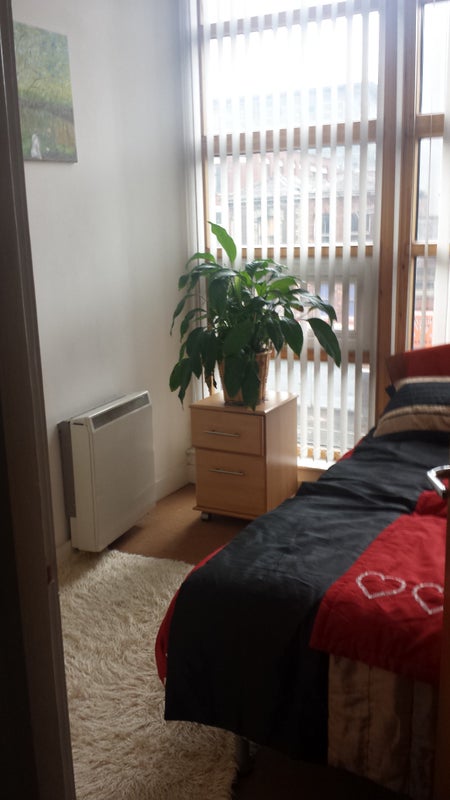 Photo 1: your bedroom