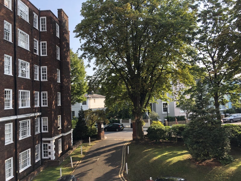 Photo 1: View from living room 