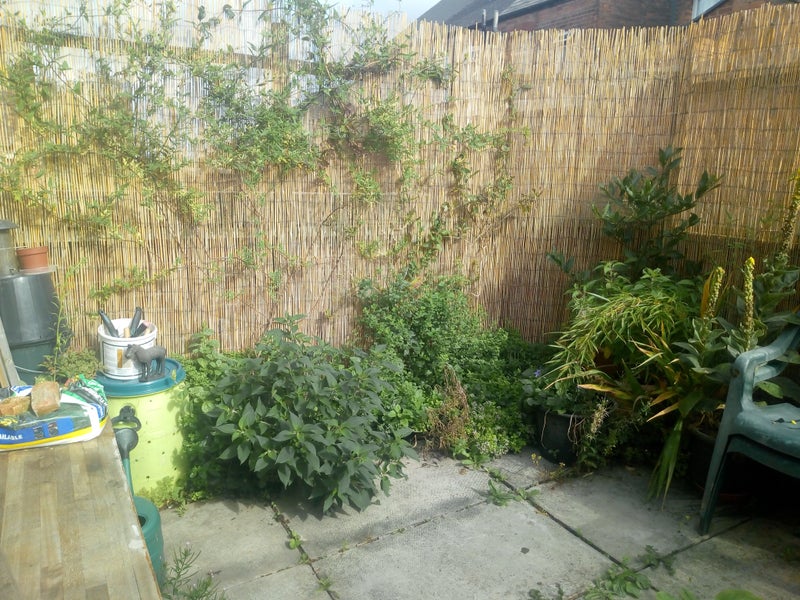 'Large double bedroom in a big house, New Basford.' Room to Rent from