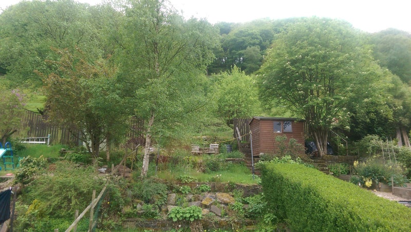 Photo 1: back garden