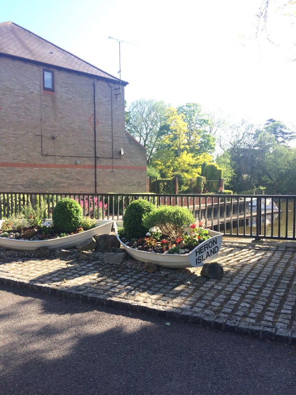 Photo 1: Heron Island 