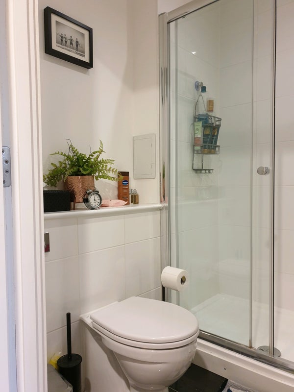 Hedgehog giant clapham common attenborough arrives launch mark david standard 'Beautiful Double room/ Own Bathroom. Kings Avenue ' Room to Rent from