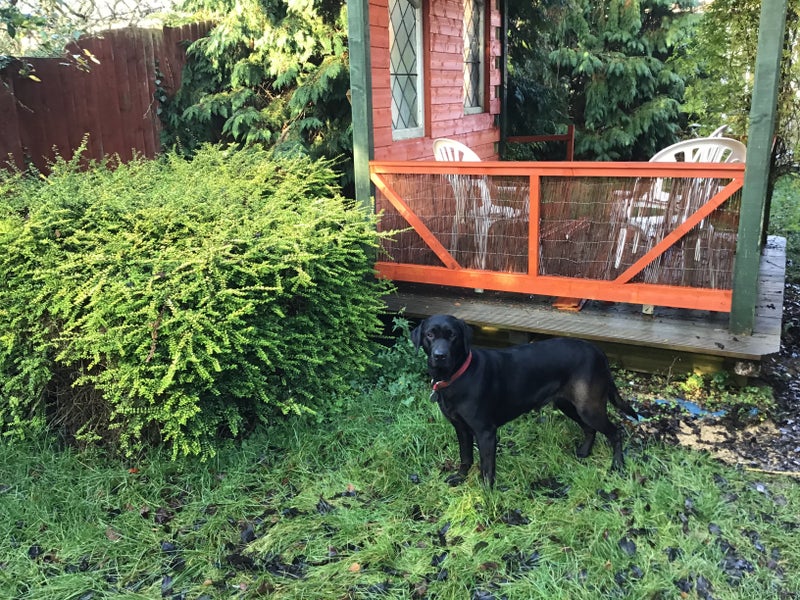 'Small selfcontained studio in Yarnton' Room to Rent from SpareRoom