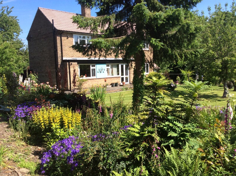 Photo 1: House and garden