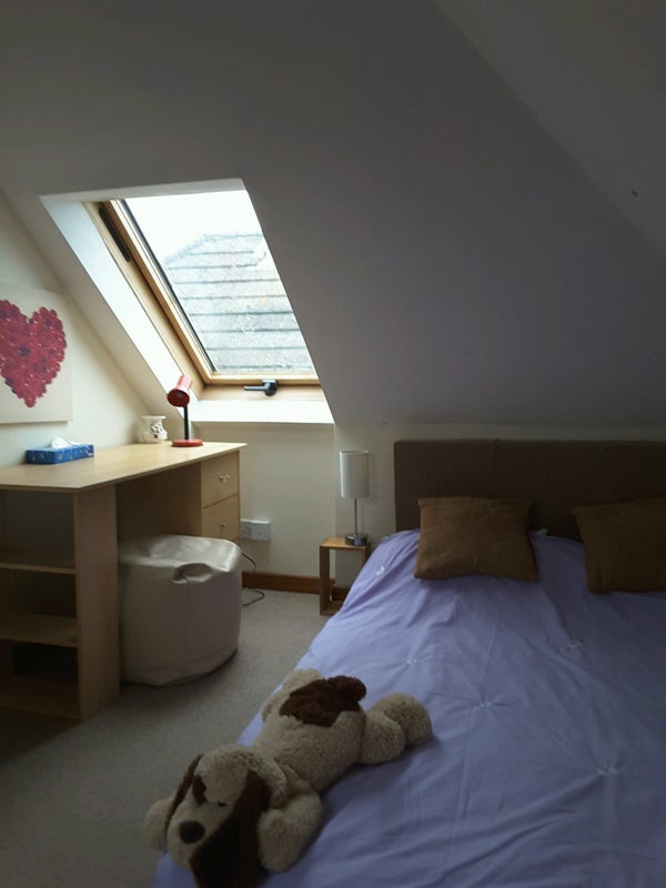 Photo 1: Teddy is oppitional