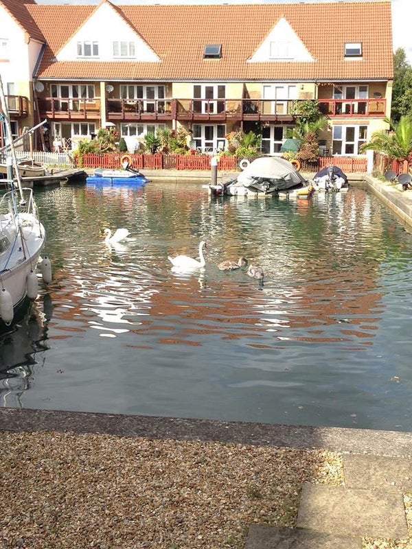 'Room to rent in Port Solent' Room to Rent from SpareRoom