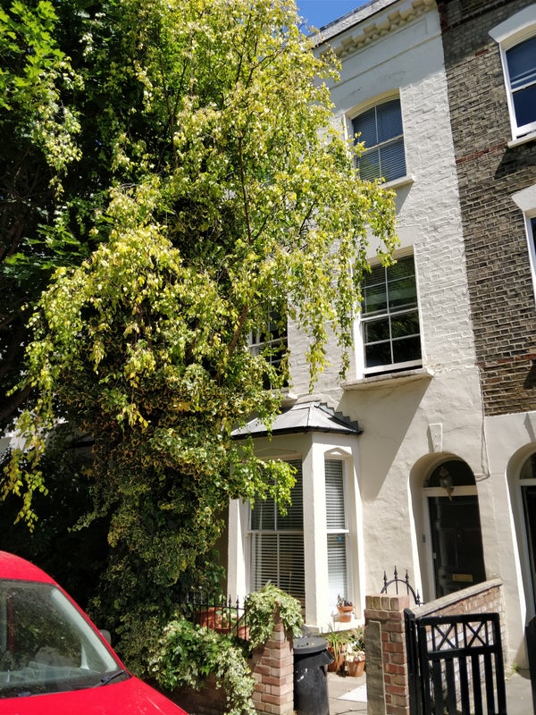 Photo 1: front of house