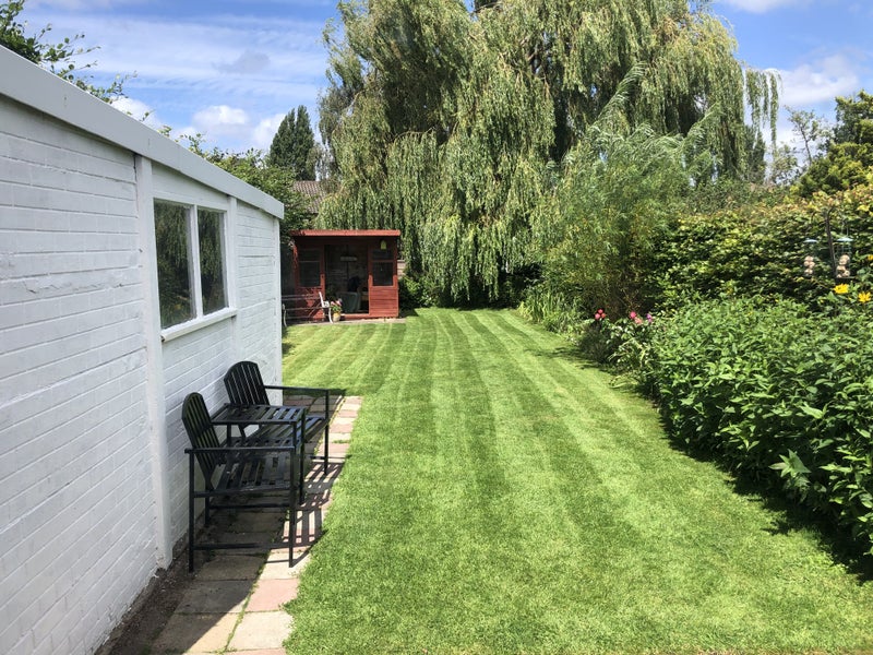 Photo 1: Very private & quiet garden