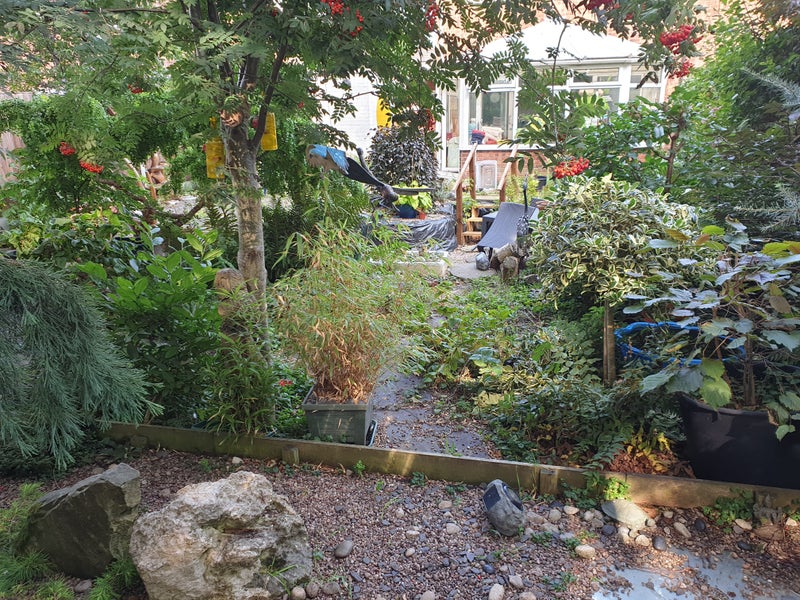 Photo 1: Quiet haven not overlooked 