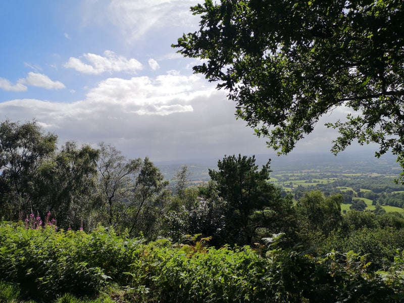 Photo 1: I love being out in nature!