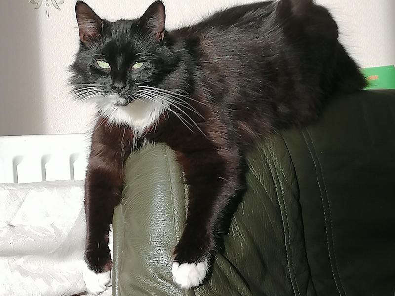 httpsphotos2spareroomcoukimagesflatsharelistingslarge789278928841jpg