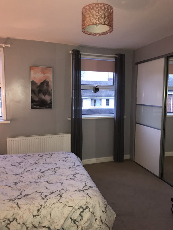 rent house pets allowed