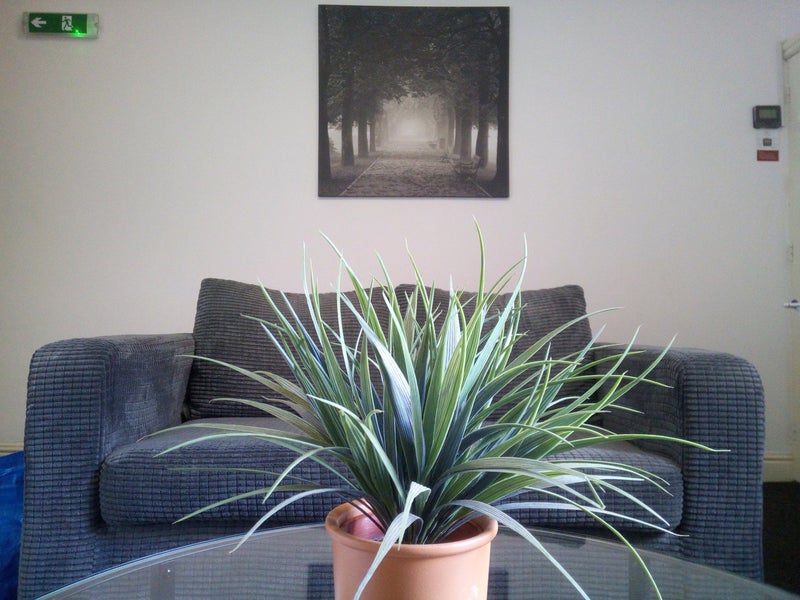 Photo 1: Communal lounge 