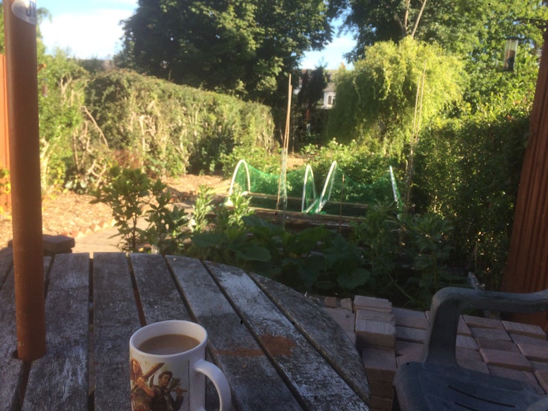 Photo 1: Breakfast on the patio