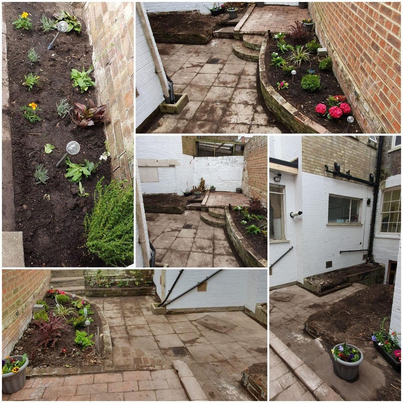 Photo 10: SHARED GARDEN