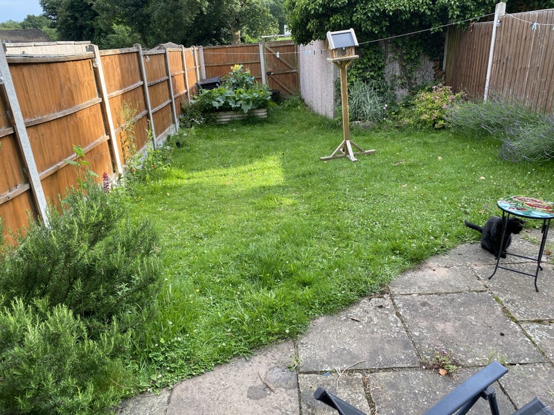 Photo 1: Garden