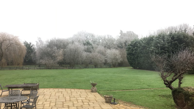 Photo 1: The garden