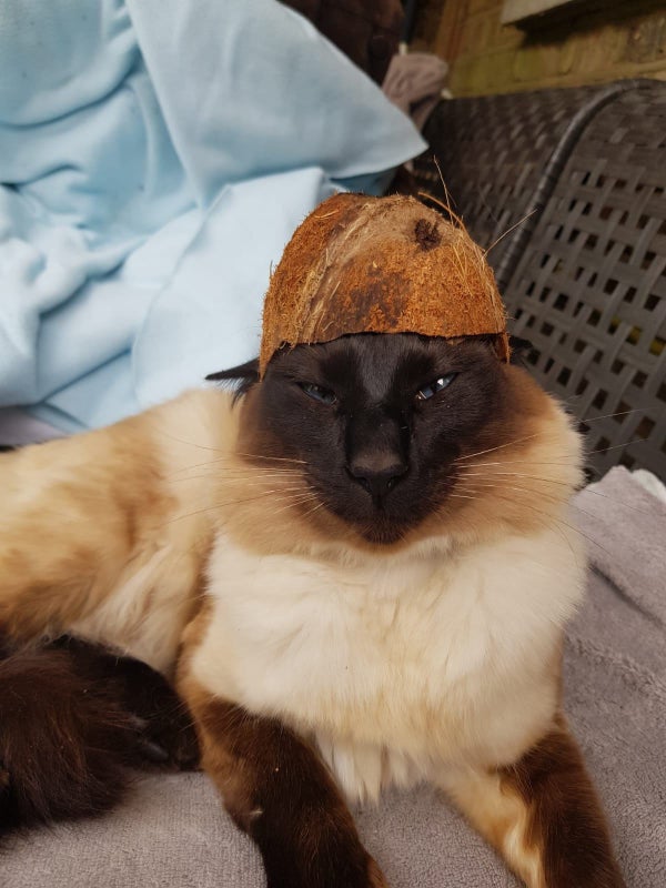 Photo 1: balina our queen