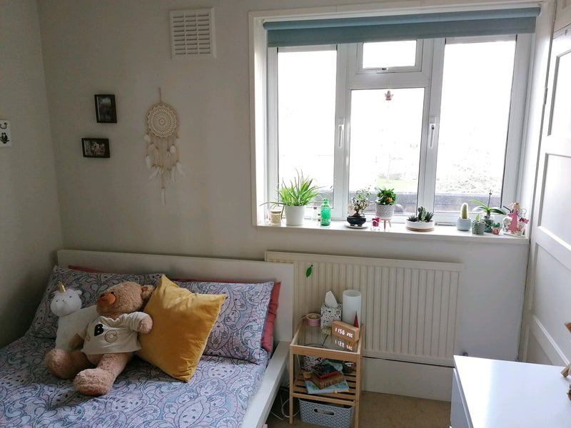 Photo 1: lovely bright and modern room