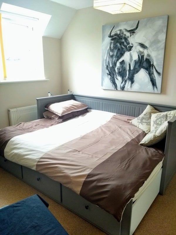 Photo 1: Bed unfolds to double bed