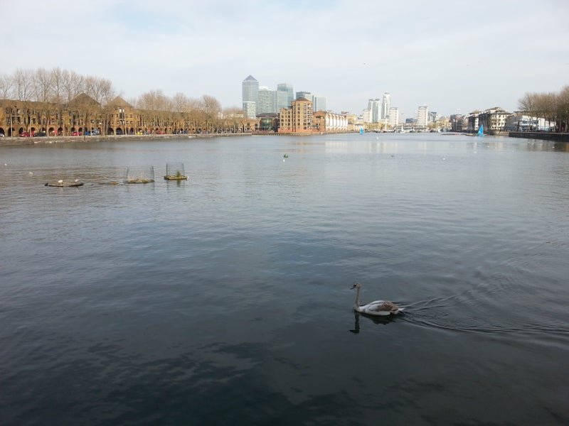 Photo 1: View over Greenland Dock