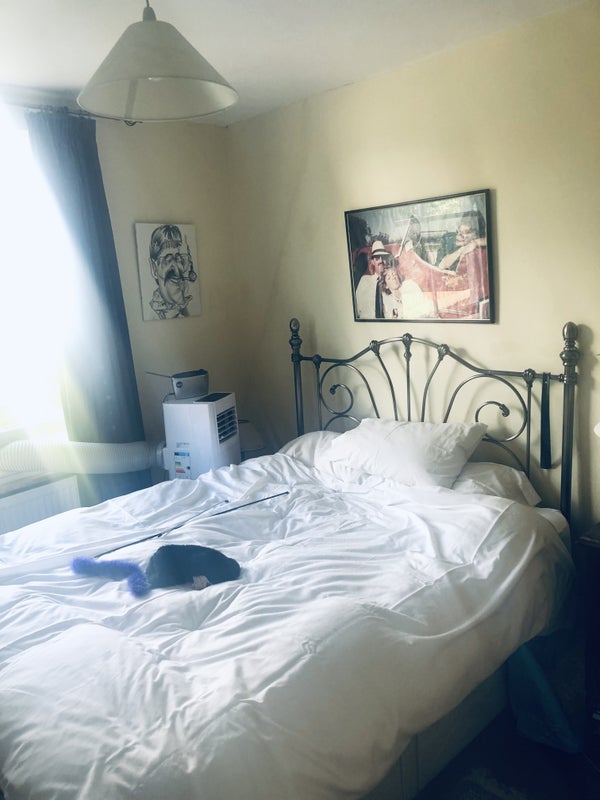 'Room to rent in Whitfield , Brackley ' Room to Rent from SpareRoom